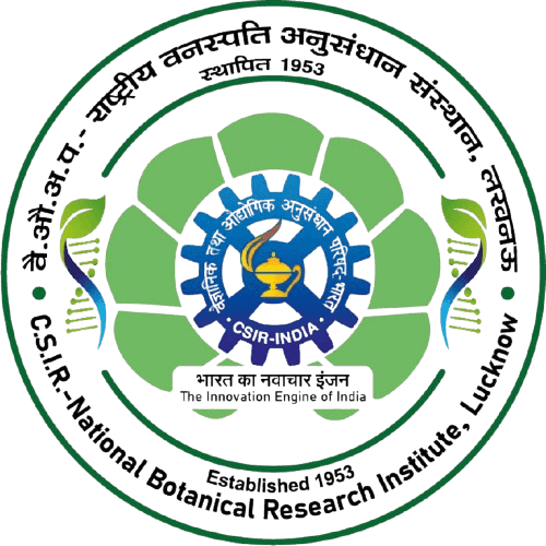 राष्ट्रीय वनस्पति अनुसंधान संस्थान, लखनऊ, उत्तर प्रदेश भर्ती 2025 job opportunity