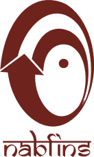 Logo of NABFINS Limited, Kerala