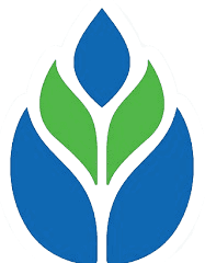 आंध्र प्रदेश ग्रामीण बैंक भर्ती 2025 job opportunity