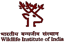 Jobs at Wildlife Institute of India (WII), Dehradun