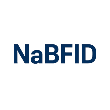 Logo of National Bank for Financing Infrastructure and Development (NaBFID)
