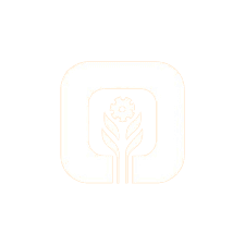 राजकोट नागरिक सहकारी बैंक लिमिटेड भर्ती 2025