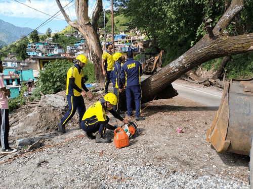 विशालकाय पेड़ को मार्ग से हटाकर यातायात किया गया सुचारू