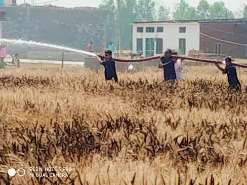 Image for फायर सर्विस उत्तराखण्ड पुलिस ने जलने से बचाई हजारों एकड़ की फसल