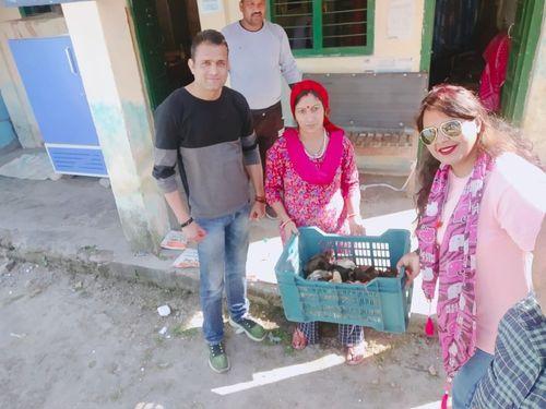 Image for राजकीय पशु चिकित्सालय केम्पटी क्षेत्रातर्गत एक माह के क्रॉयलर चूजों का किया गया वितरण