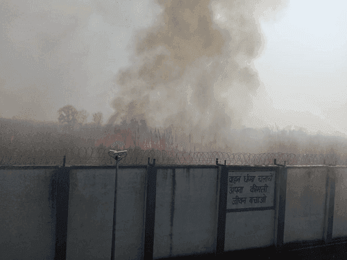 Image for झाड़ियां में लगी आग पर फायर यूनिट सिडकुल ने पाया काबू