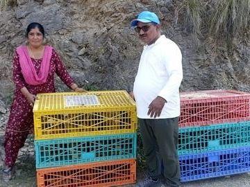 सघन कुक्कुट विकास प्रायोजना छाम द्वारा चूजों का किया गया वितरण