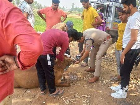 व्यवस्था और दया, हरिद्वार पुलिस का ये कारनामा जनता को लगा दिल जीतने वाला