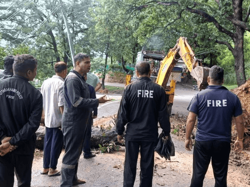Image for फायर सर्विस टीम ने सड़क पर गिरे पेड़ को हटाकर यातायात किया सुचारू