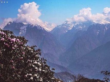 पिथौरागढ़ जनपद में मुनस्यारी के निकट स्थित है, खलिया टॉप