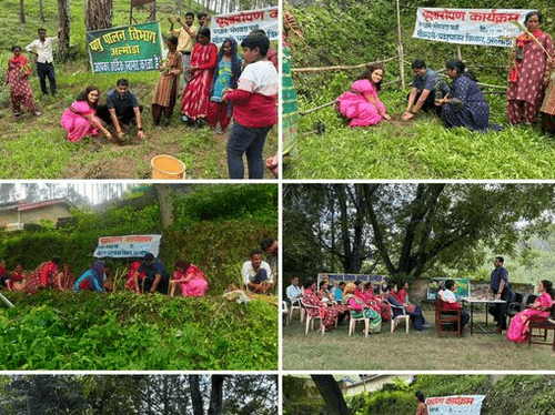 राजकीय चारा प्रक्षेत्र भैंसवाड़ा में मुख्य पशुचिकित्साधिकारी ने किया वृक्षारोपण