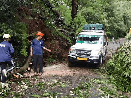 फायर सर्विस गोपेश्वर ने मार्ग पर गिरे पेड़ को हटाकर यातायात किया सुचारू