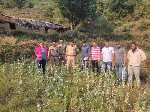 Image for अफीम की अवैध फसल को टिहरी पुलिस ने किया नष्ट अभियोग किया पंजीकृत
