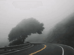 मौसम विभाग ने कोहरे को लेकर जारी किया अलर्ट