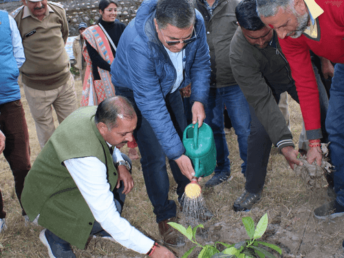 District Magistrate Uttarkashi visited Rudraksh Vatika and planted saplings