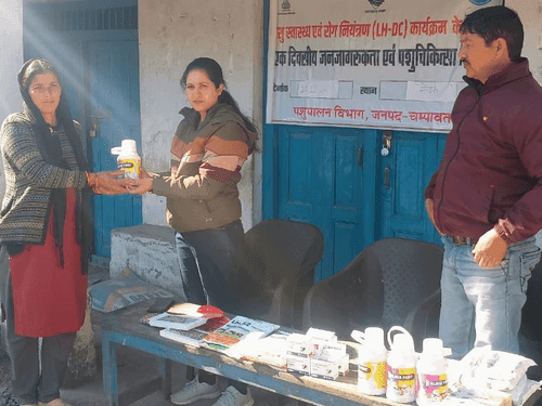 ग्राम सैंदर्क में पशु चिकित्सा शिविर का किया गया आयोजन