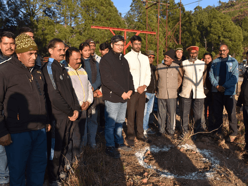 आदर्श विलेज मैठाणा में एक हेक्टेयर कृषि भूमि पर लगाये जा रहे कीवी के पौधे