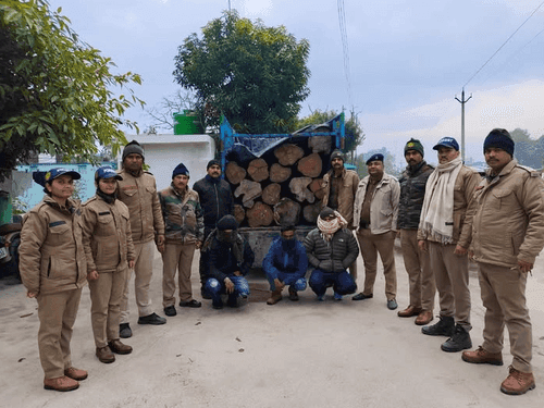 अवैध रूप से सागौन के लट्ठे परिवहन करने पर अभियुक्त गिरफ्तार