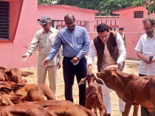 पशुपालन मंत्री एवं सचिव द्वारा पशु प्रजनन प्रक्षेत्र कालसी का किया गया निरीक्षण 