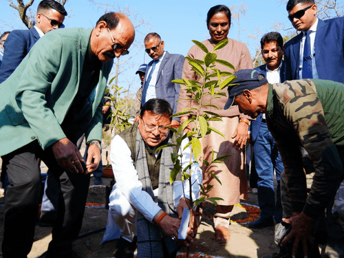 Image for One plant will be planted in the name of each medal winning player