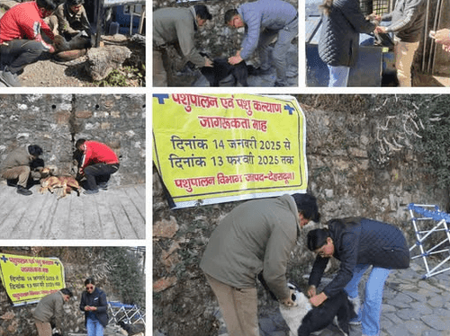 Image for One day vaccination camp organized in Mussoorie