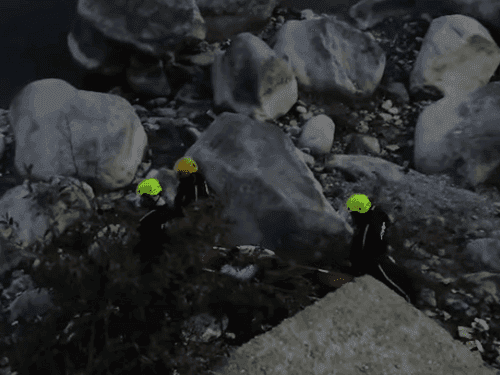 Image for The Fire Rescue Unit Team became an angel for the injured person