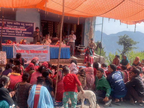 ग्राम द्रयूली में पशु प्रदर्शनी का किया गया आयोजन