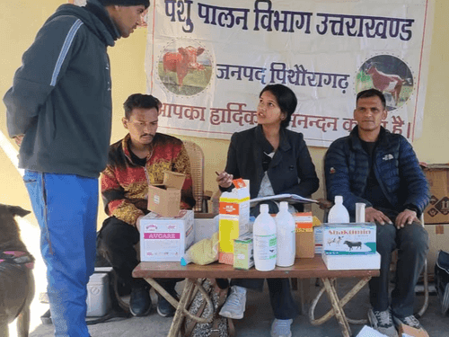 Image for ग्राम मातौली में पशुचिकित्सा एवं जागरूकता शिविर का किया गया आयोजन