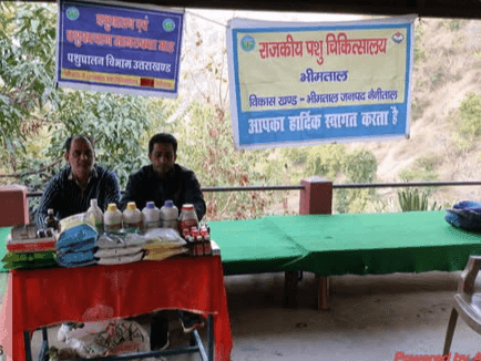 ग्राम पंचायत पस्तोला में पशु चिकित्सा शिविर का किया गया आयोजन