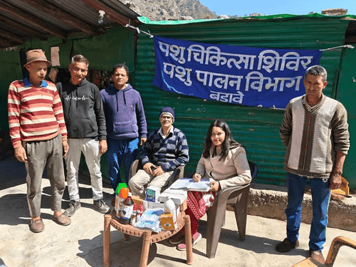 Image for चिंगरी में पशुचिकित्सा शिविर का किया गया आयोजन