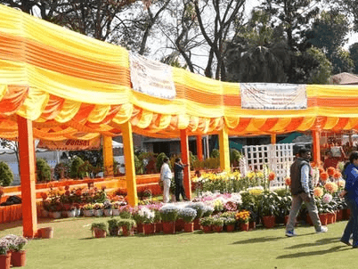 Image for Vasantotsav will start at 10 am