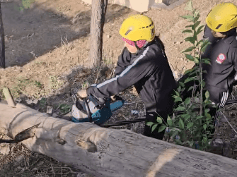 Image for Traffic was restored after removing the tree that had fallen on the road