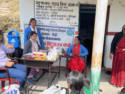चौण्डा, पौड़ी गढ़वाल में पशुचिकित्सा शिविर का किया गया आयोजन