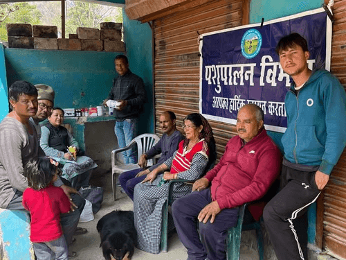 Image for Veterinary camp was organized in village Pankholi