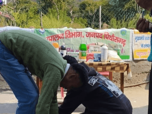 ग्राम मुवानी में पशु चिकित्सा शिविर का किया गया आयोजन