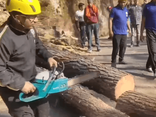 Image for मार्ग पर गिरे पेड़ को हटाकर यातायात किया गया सुचारू