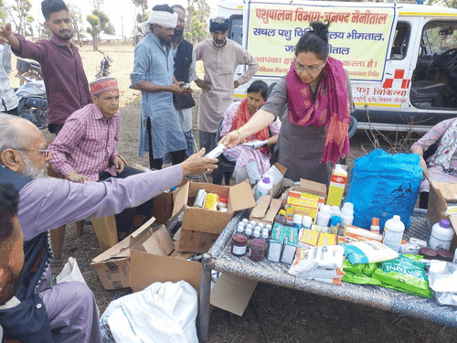 ग्राम दीवारखत्ता फतेहपुर में पशु चिकित्सा शिविर का किया गया आयोजन