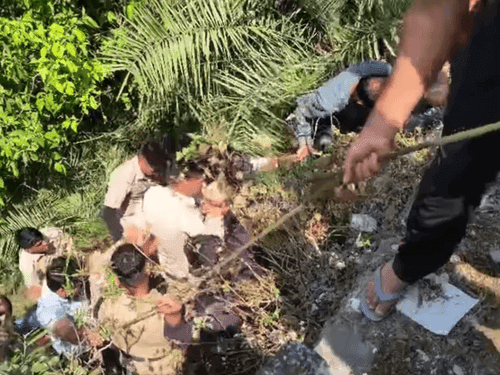 Image for Car fell into a ditch, the injured were rescued