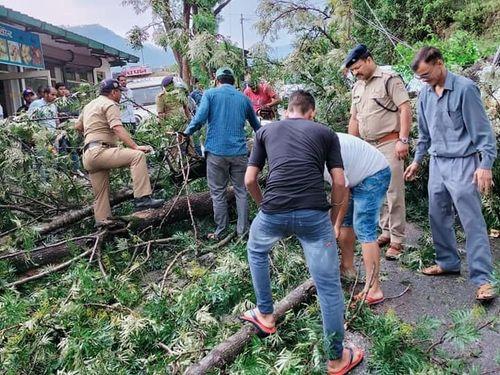 पेड़ गिरने से यातायात हुआ बाधित, पुलिस द्वारा पेड़ को हटाकर किया गया यातायात सुचारू
