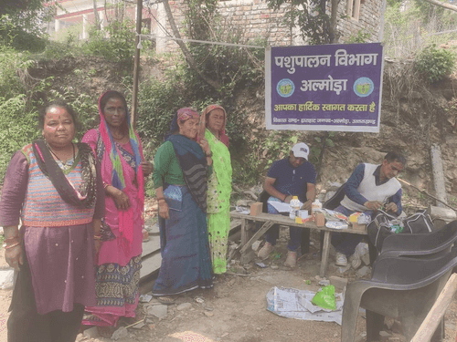 ग्राम सतिनौगाँव में पशु चिकित्सा शिविर का किया गया आयोजन
