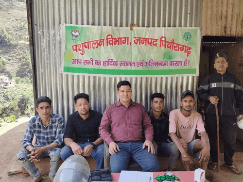 Image for Veterinary camp was organized in village Galati