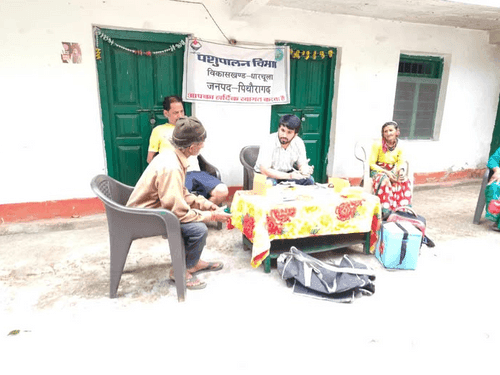 Image for ग्राम किमखोला में पशु चिकित्सा शिविर का किया गया आयोजन