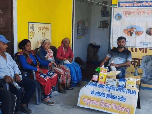 Image for ग्राम मुवानी में पशु चिकित्सा शिविर का किया गया आयोजन
