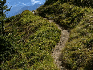 Image for चमोली जिले का बारकोट गांव अब भी सड़क सुविधा से दूर