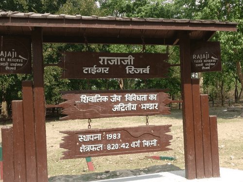 राजाजी टाइगर रिजर्व में 15 नवंबर से शुरू होगी जंगल सफारी