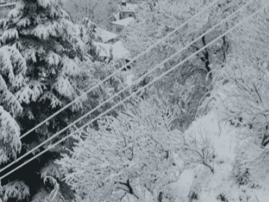 Image for उत्तराखंड के ऊंचाई वाले क्षेत्रों में बर्फबारी के आसार