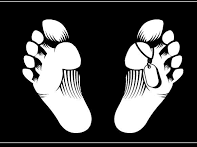 उत्तराखंड में बीटेक का छात्र फंदे से लटका मिला