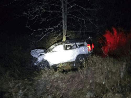 नैनीताल के मल्ला रामगढ़ क्षेत्र में वाहन दुर्घटनाग्रस्त, 8 लोग थे सवार