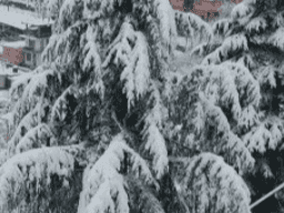 उत्तराखंड के पर्वतीय क्षेत्रों में बर्फबारी के आसार