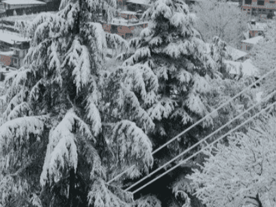 उत्तराखंड में कोहरा, बारिश और बर्फबारी को लेकर अलर्ट जारी